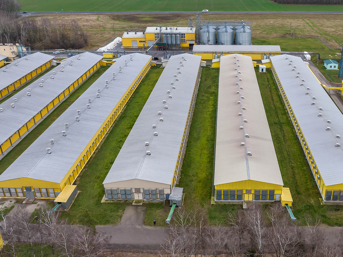 Best Agricultural Investment for US Investors 2026